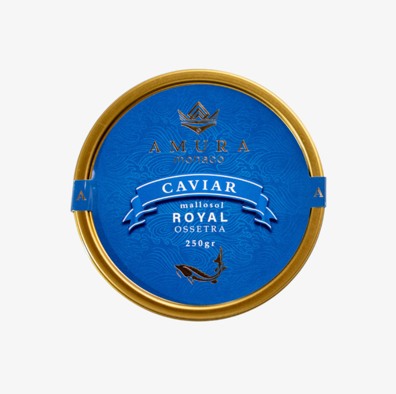 Caviar Amura Osciètre
